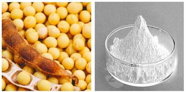 植物甾醇 大豆提取物的健康益處與應(yīng)用前景