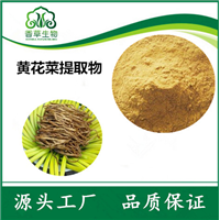 寧夏基地黃花菜 實(shí)力廠家精粹天然香料與純粉